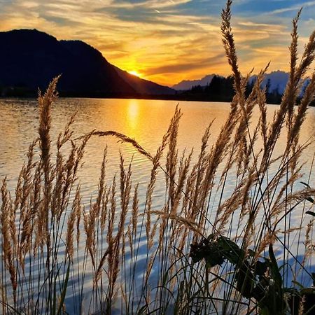 Ferienwohnung Susen Sankt Jakob in Haus Dış mekan fotoğraf
